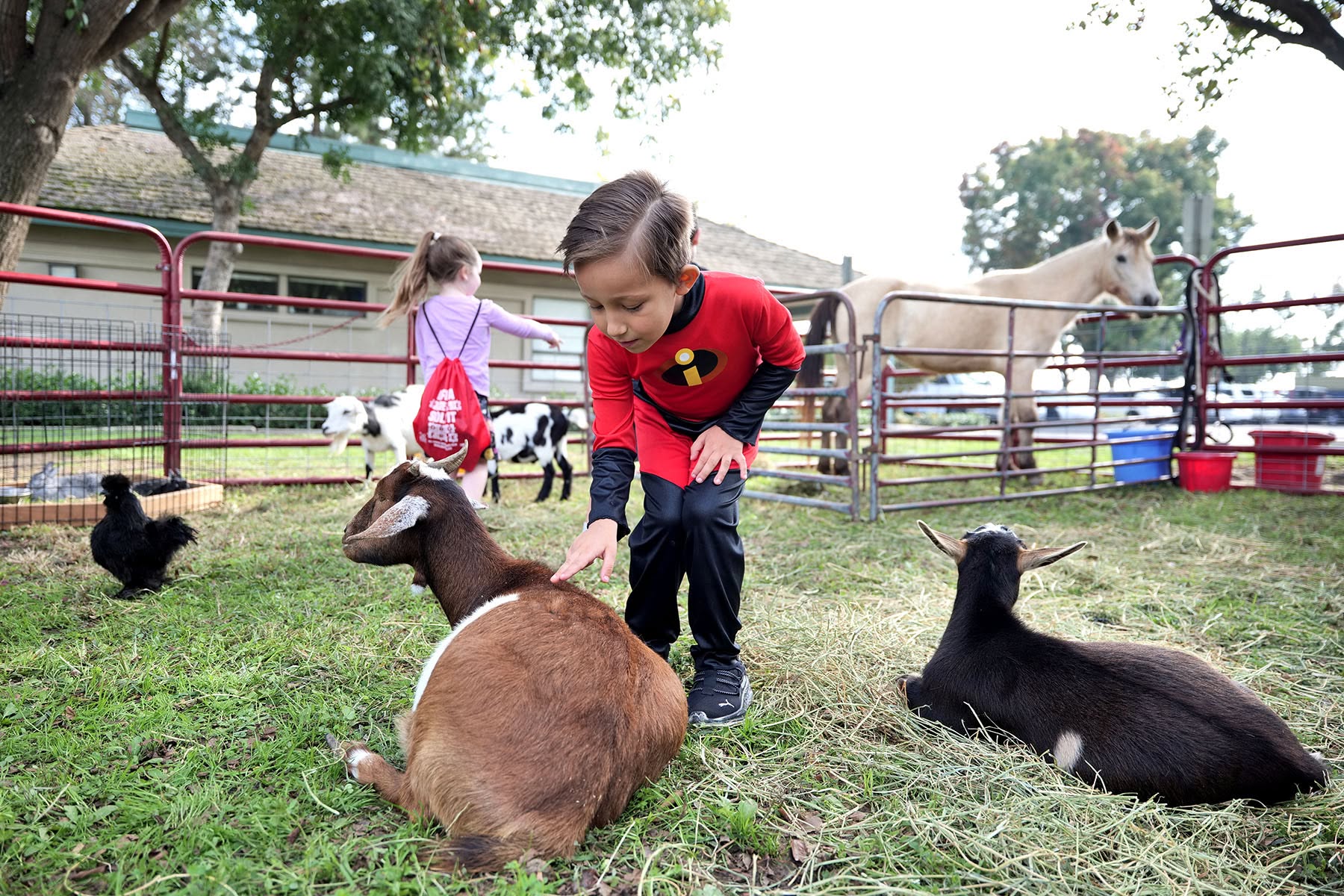 2 Students petting a goat at a petting zoo.