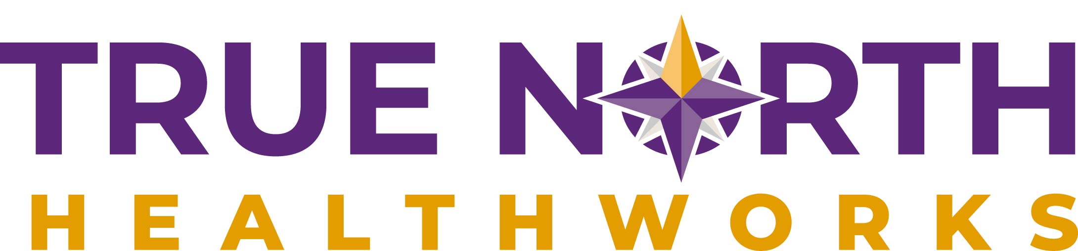 True North Healthworks logo