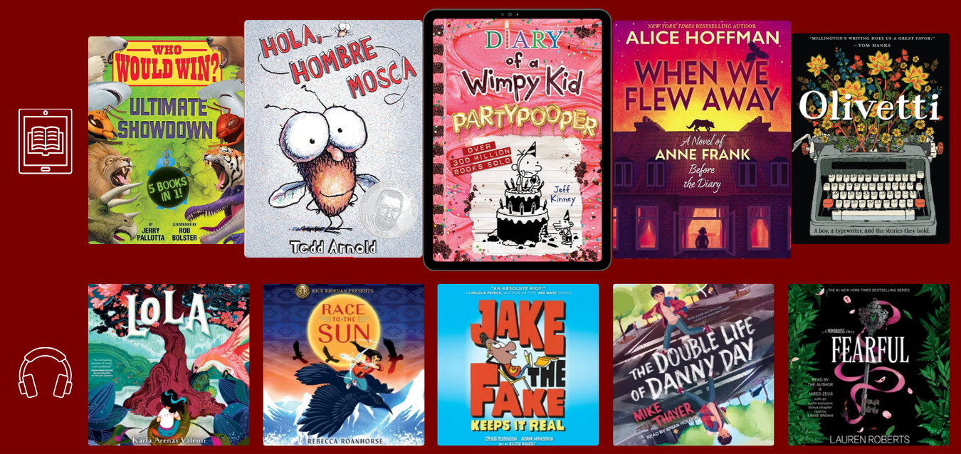 November 2025 selection of Sora eBooks and audio books