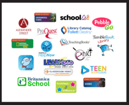 Custom Educational Resource Library Professional Learning