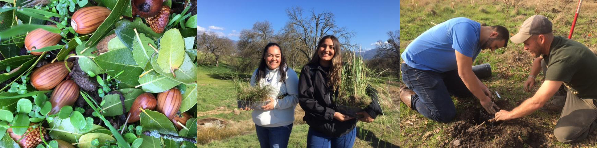 Acorns to Oaks Planting Day